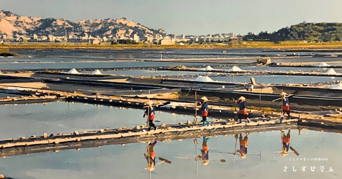 自然の恵みだけで作った塩は天日塩