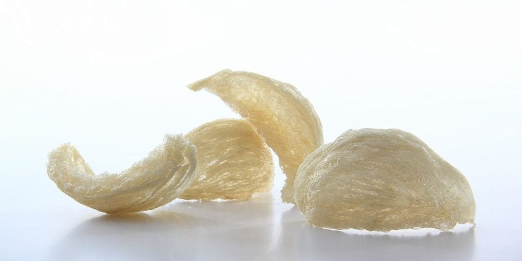 乾燥した燕の巣